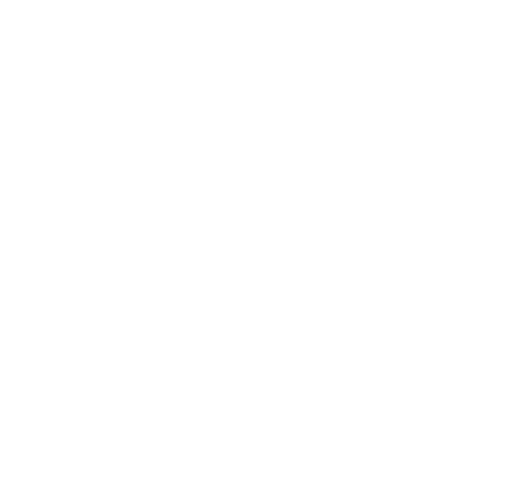 clinic for weight loss everest eclinic logo