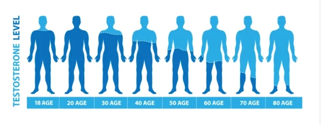 testesterone level by age