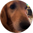 Linda Collier profile picture