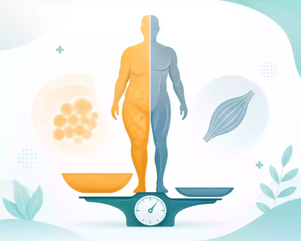 Illustration showing how weight loss on GLP-1 medications like Ozempic and Mounjaro includes both fat and muscle loss